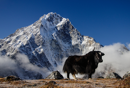सगरमाथा क्षेत्र 